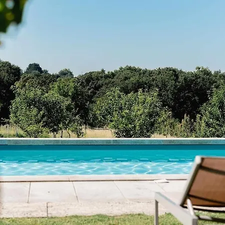 Domaine De La Peyrine - Tourterelle