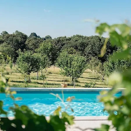 Domaine De La Peyrine - Tourterelle * Carignan-de-Bordeaux